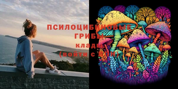 героин Белокуриха