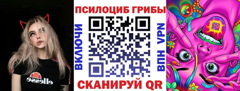 что такое   kraken ТОР  Псилоцибиновые грибы Psilocybe  Цоци-Юрт 