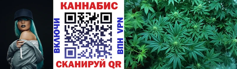 Бошки марихуана AK-47 закладка Цоци-Юрт